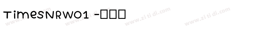 TimesNRW01 字体转换